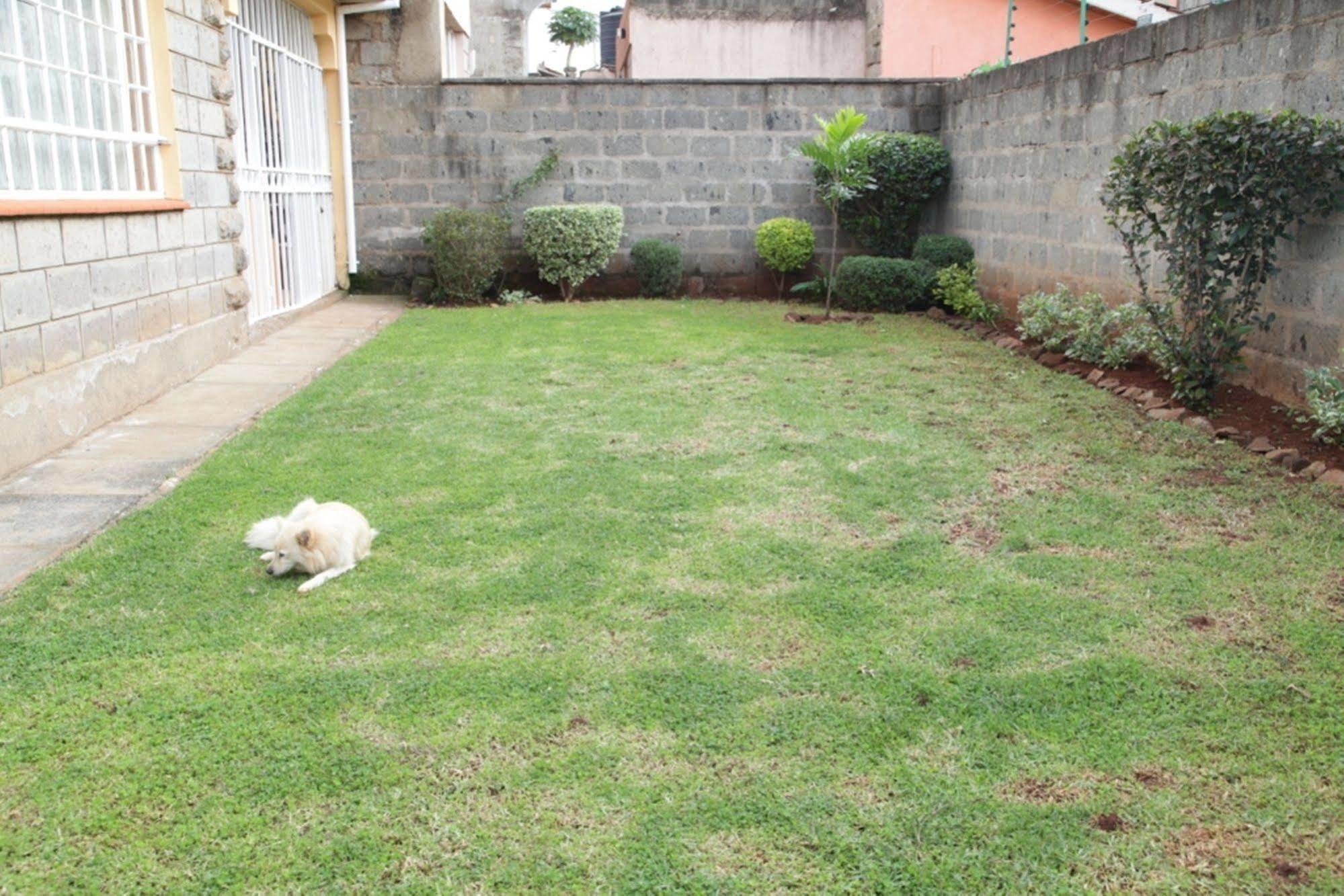 Mdawida Homestay Nairobi Luaran gambar